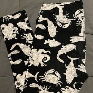 LuLaRoe TC leggings